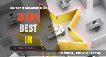 Discover Your Ideal Work Environment: Boost Productivity and Job Satisfaction