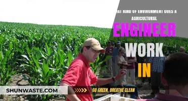 Exploring Agricultural Engineers' Diverse Work Environments: Fields, Labs, and Beyond