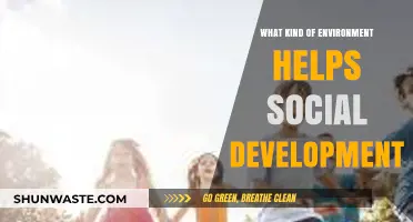 Nurturing Social Growth: Key Environmental Factors for Development