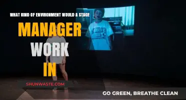 Exploring the Dynamic Work Environment of a Stage Manager