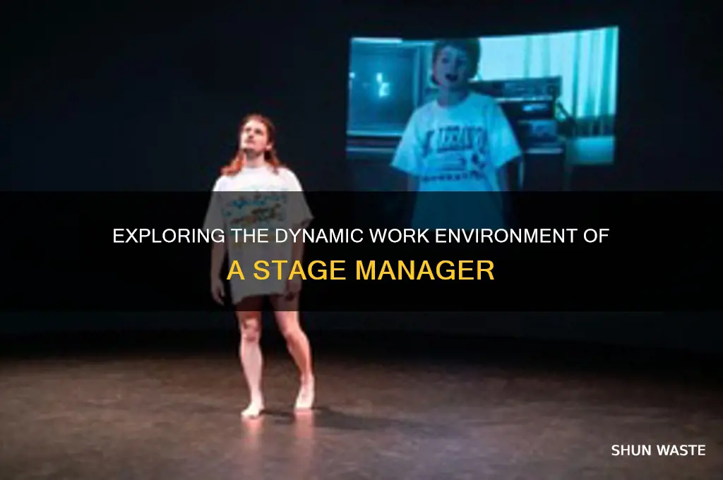 what kind of environment would a stage manager work in