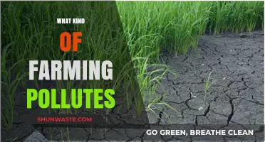 Farming and Pollution: The Impact of Agriculture