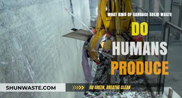 Exploring the Types of Solid Waste Humans Generate Daily
