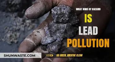 Lead Pollution: A Hazardous and Toxic Threat