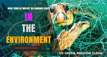 Human Footprint: Unveiling Our Environmental Impact and Lasting Legacy