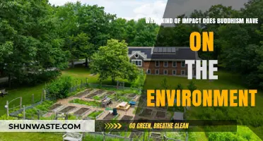 Buddhism's Eco-Friendly Teachings: Shaping a Sustainable and Green Future