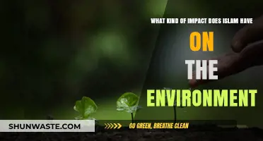 Islam's Environmental Stewardship: Principles, Practices, and Global Impact