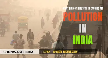 Unveiling India's Air Polluters: Industrial Giants or Small-Scale Operations?