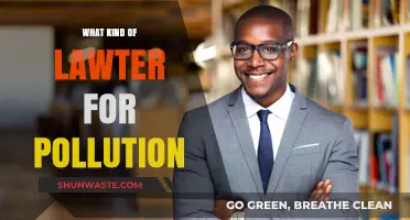 Pollution and Legal Action: What Type of Lawyer Do You Need?