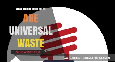 Universal Waste: Identifying Light Bulbs for Eco-Friendly Disposal