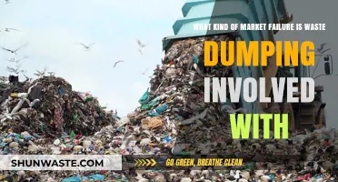 Waste Dumping: A Case of Negative Externalities and Market Failure