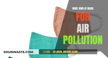 Air Pollution Masks: Choosing the Right Protection