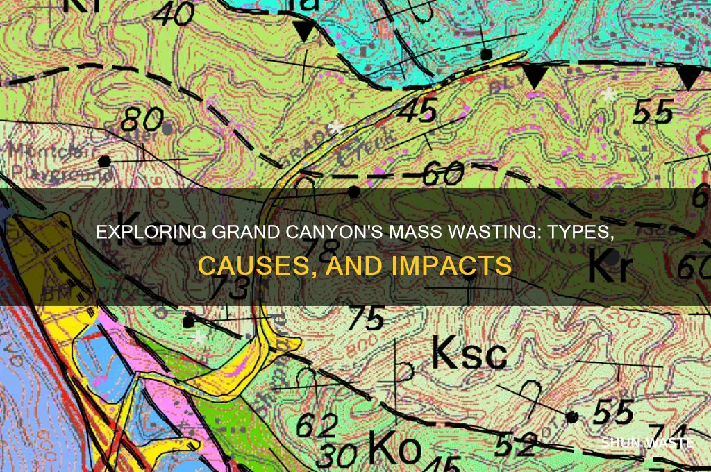 what kind of mass wasting in grand canyon