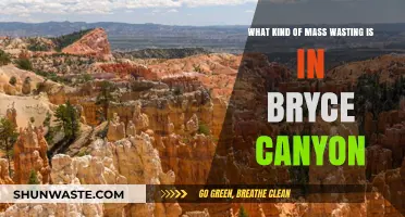 Exploring Bryce Canyon's Unique Mass Wasting Processes and Features