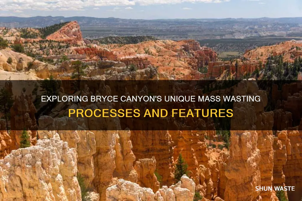 what kind of mass wasting is in bryce canyon