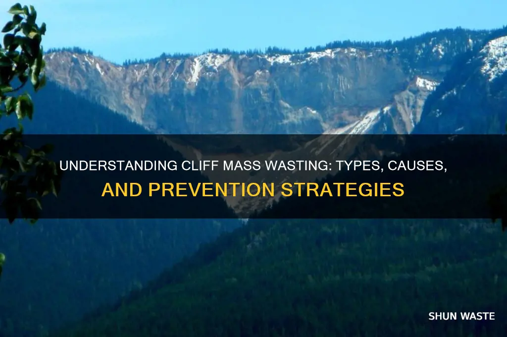 what kind of mass wasting on cliffs