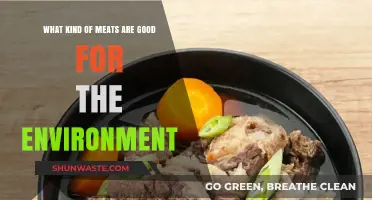 Eco-Friendly Eating: Sustainable Meat Choices for a Greener Planet