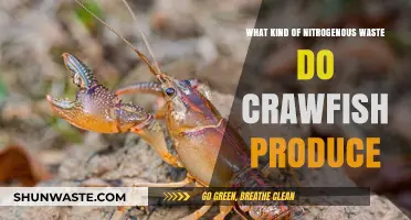 Crawfish Nitrogenous Waste: Understanding Their Unique Excretion Process