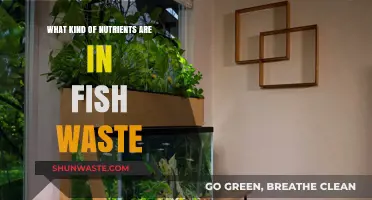 Unlocking the Nutrient Potential of Fish Waste for Sustainable Gardening