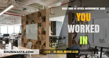 Exploring Diverse Office Environments: Where Have You Worked?