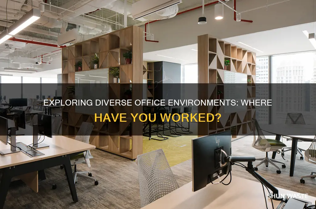 what kind of office environment have you worked in