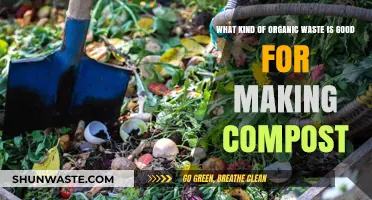Best Organic Waste for Composting: A Guide to Nutrient-Rich Materials