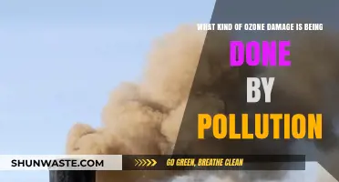 Ozone Layer: Pollution's Impact and the Damage Done