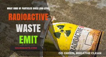 Low-Level Radioactive Waste: Types of Particles Emitted and Risks