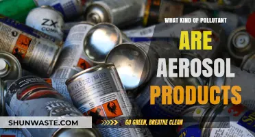 Aerosol Products: Harmful Air Pollutants in Disguise