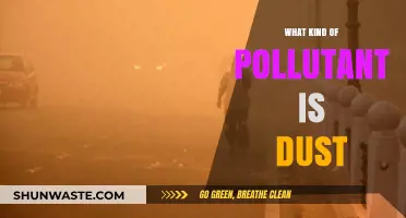 Dust: A Harmful Air Pollutant and Health Risk
