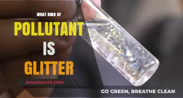 Glitter's Harmful Impact: Understanding Its Pollution