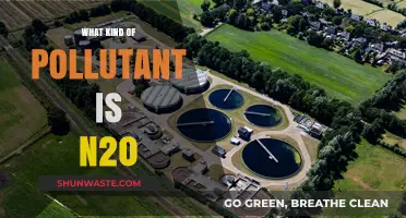 Understanding N2O: A Potent Greenhouse Gas Pollutant