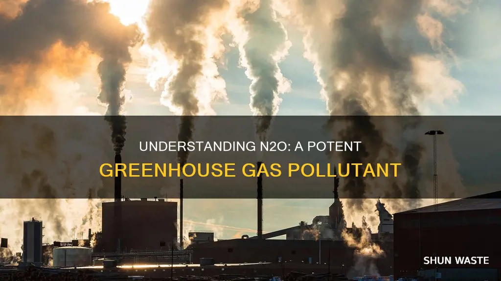 what kind of pollutant is n20