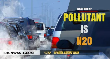 Understanding N2O: A Harmful Greenhouse Gas Pollutant