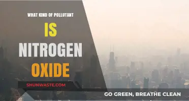 Nitrogen Oxide: Understanding Its Harmful Nature as a Pollutant