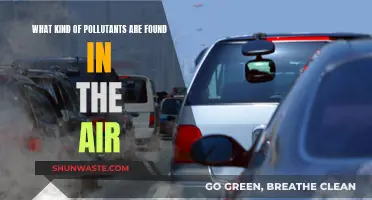 Air Pollutants: Understanding the Different Types of Contaminants