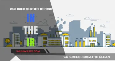 Air Pollutants: Understanding the Invisible Dangers in the Air
