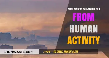 Human Activity Pollutants: Understanding Our Impact