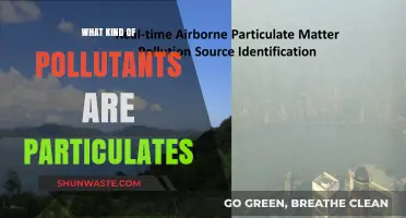 Particulate Pollutants: Understanding the Invisible Danger in the Air