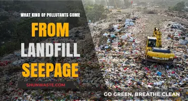 Landfill Seepage: Understanding the Toxic Pollutants and Their Impact