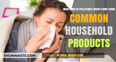 Hidden Household Toxins: Unseen Pollutants in Everyday Products