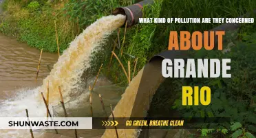 Grande Rio's Pollution Concerns: What's the Main Issue?