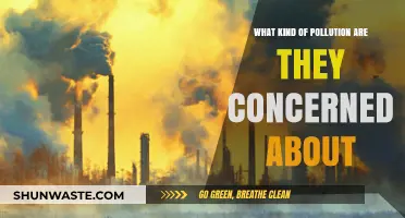 Pollution Concerns: What Types Are We Worried About?