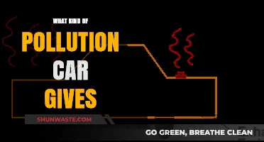 Cars: Understanding Their Pollution and Impact