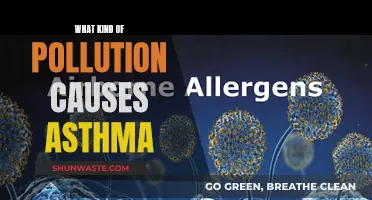 Unveiling the Hidden Culprits: Air Pollution and Asthma