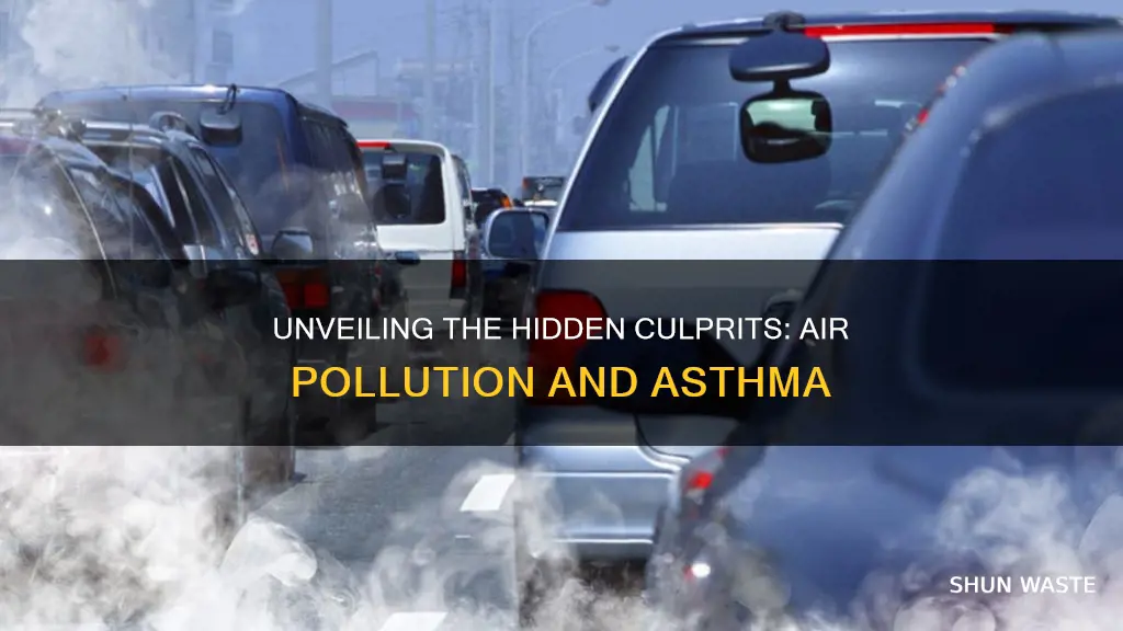 what kind of pollution causes asthma