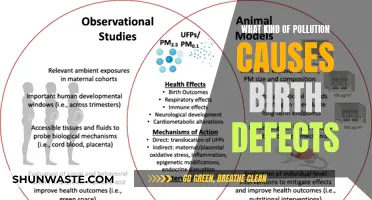 Unveiling the Hidden Link: Pollution's Impact on Birth Defects