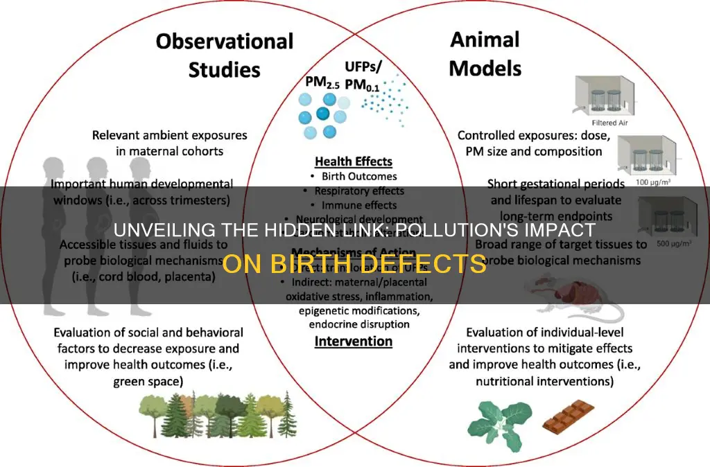 what kind of pollution causes birth defects