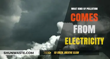 Electricity's Pollution: The Dark Side of Power Generation
