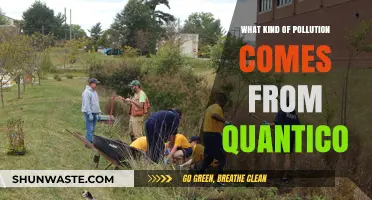 Quantico's Pollution: A Threat to Nature and People